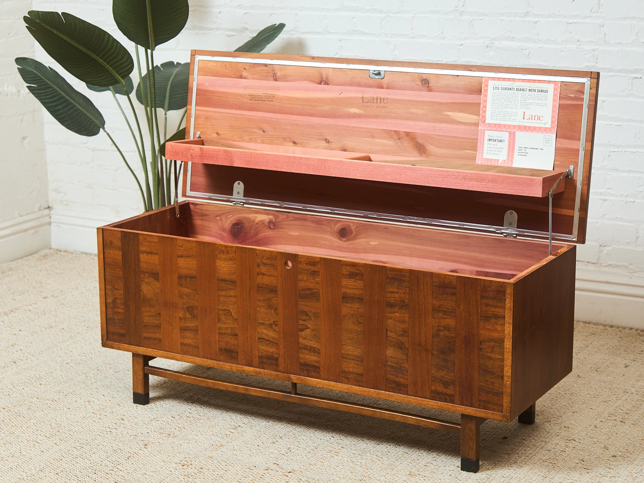 Keyless Walnut Hope Chest - Image 21