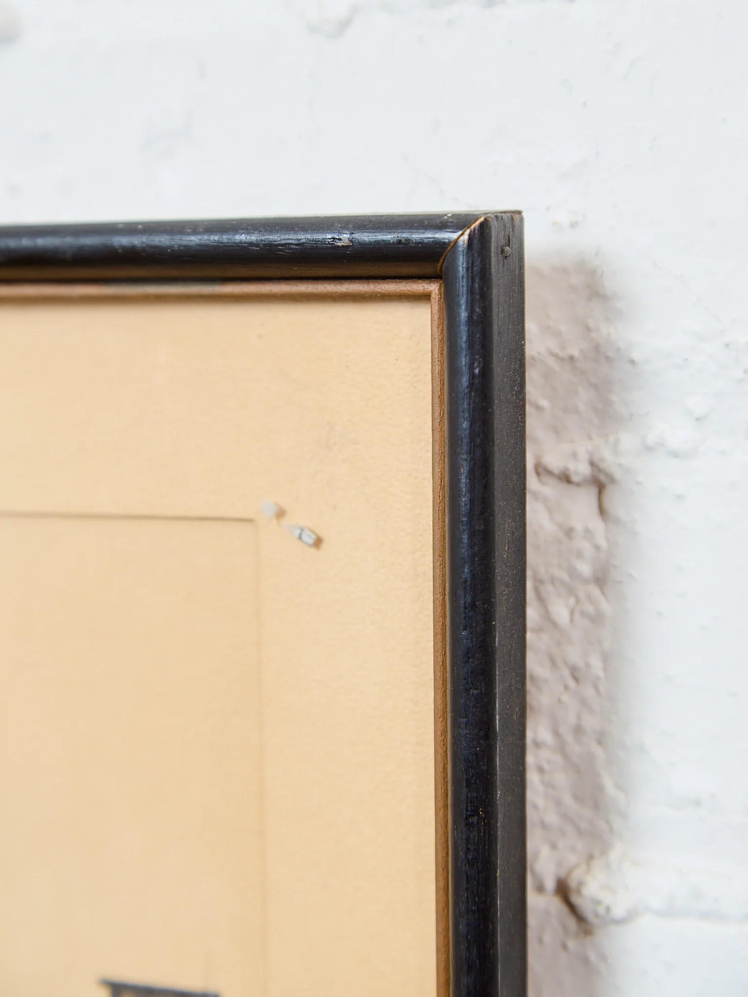 Leo Signed Art Framed - Image 8
