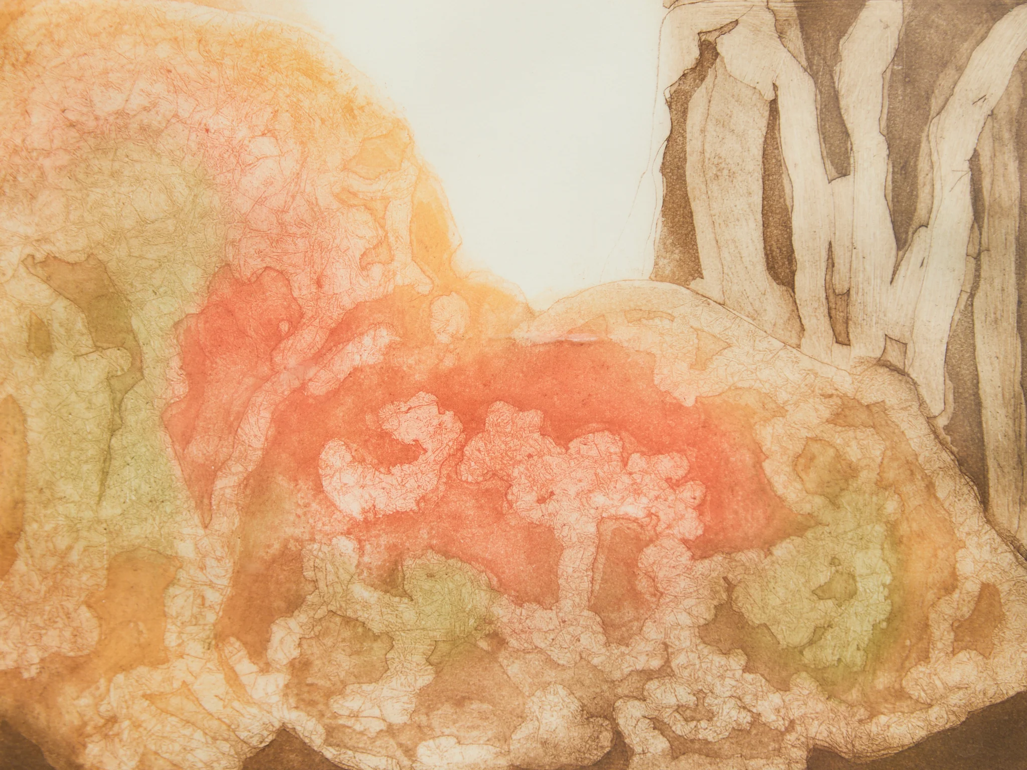 “Lichen” Etching by Ruth - Image 2