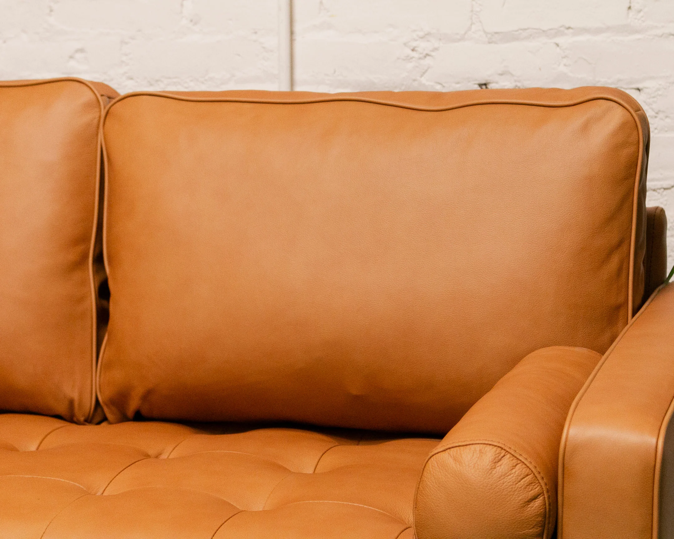 Maya Loveseat Sofa in Leather - Image 11