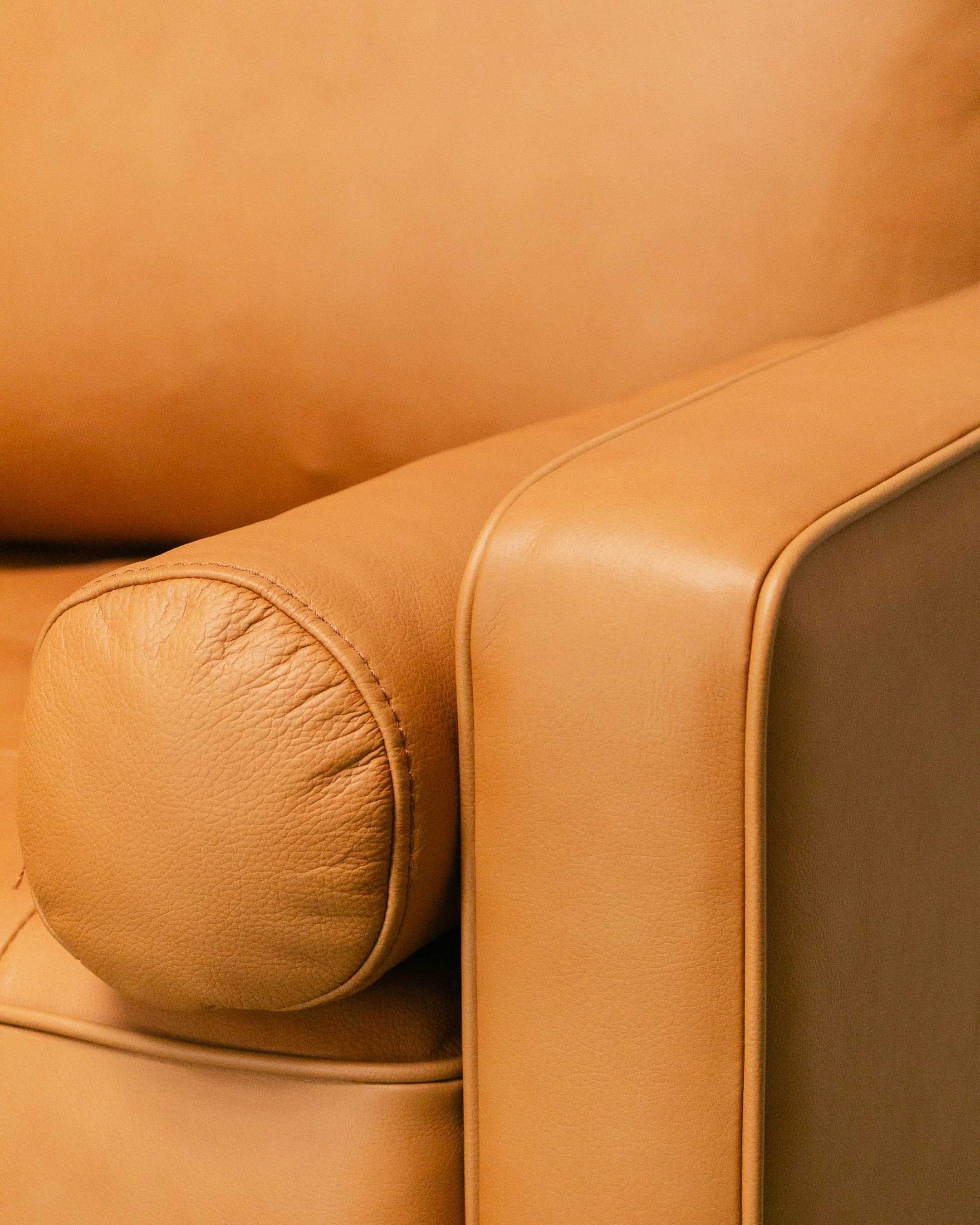 Maya Loveseat Sofa in Leather - Image 4