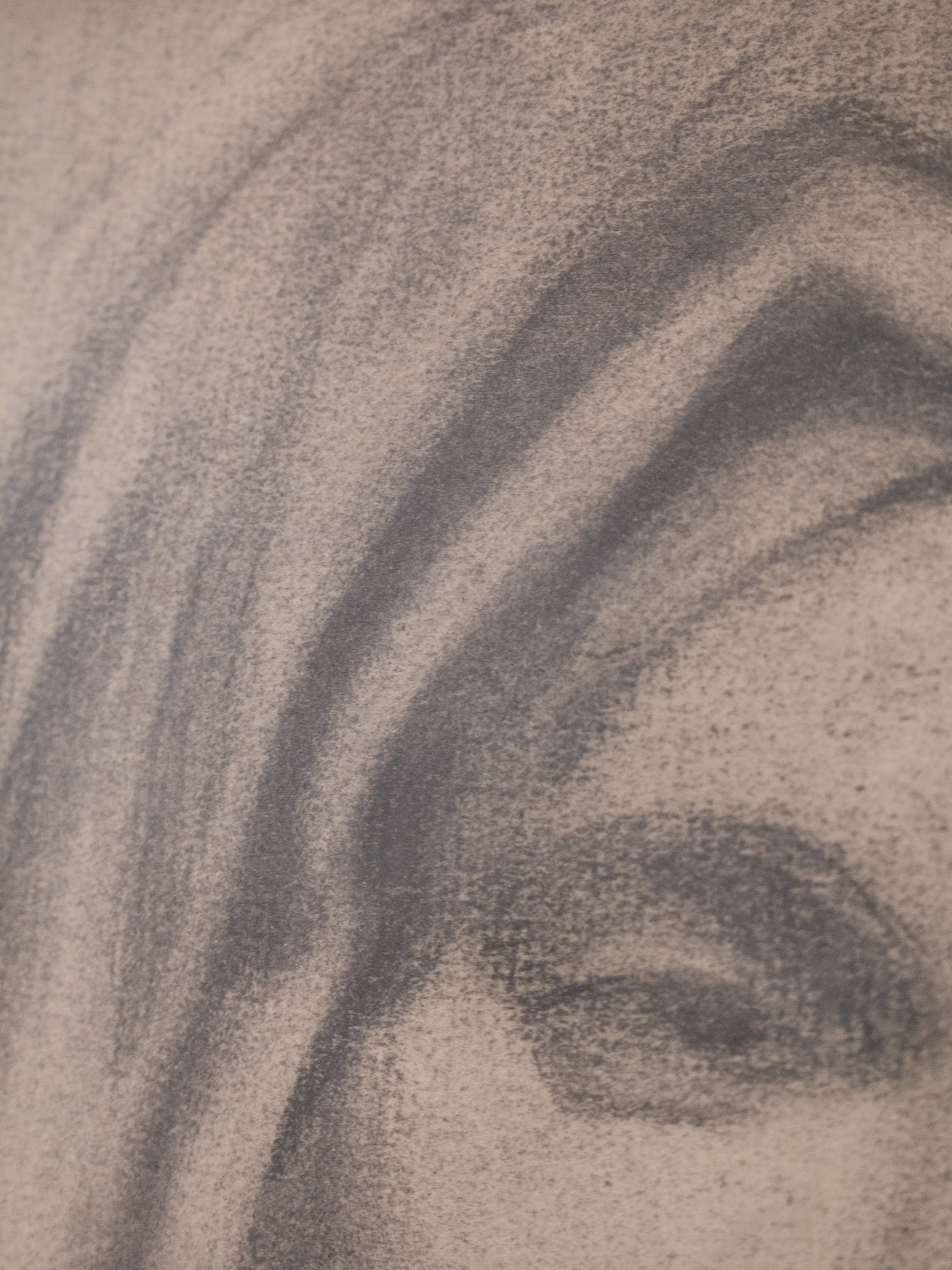 Original Study in Charcoal - Image 3