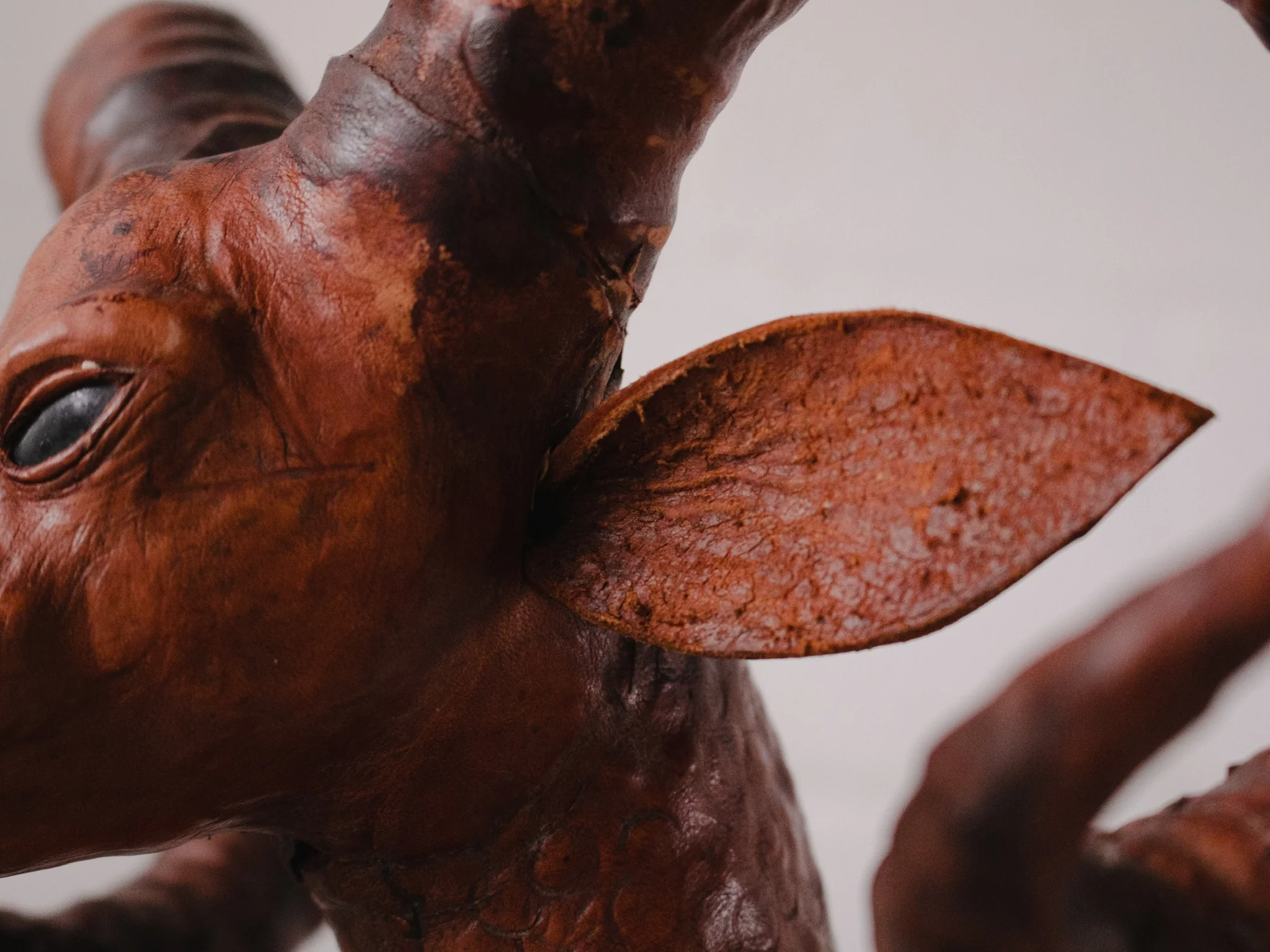 Ram Leather Sculpture - Image 7