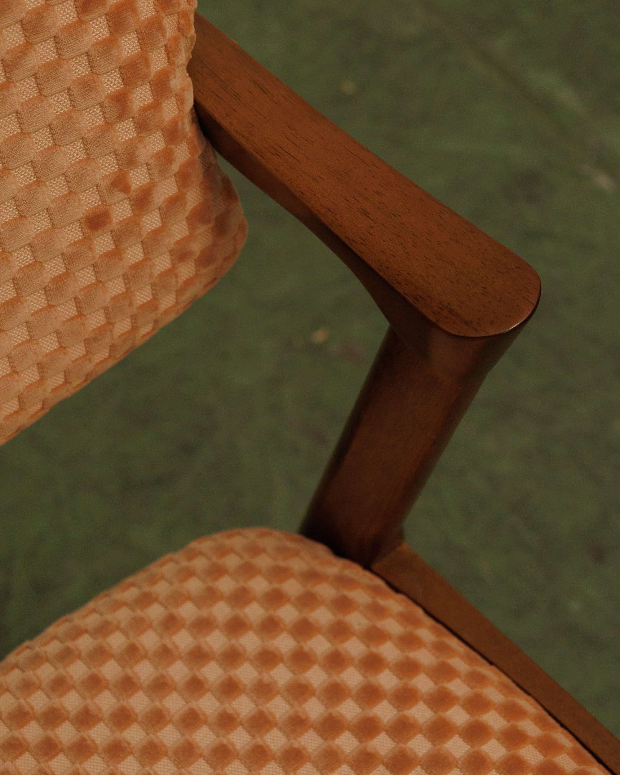 T-Rex in Checker Blush - Image 15