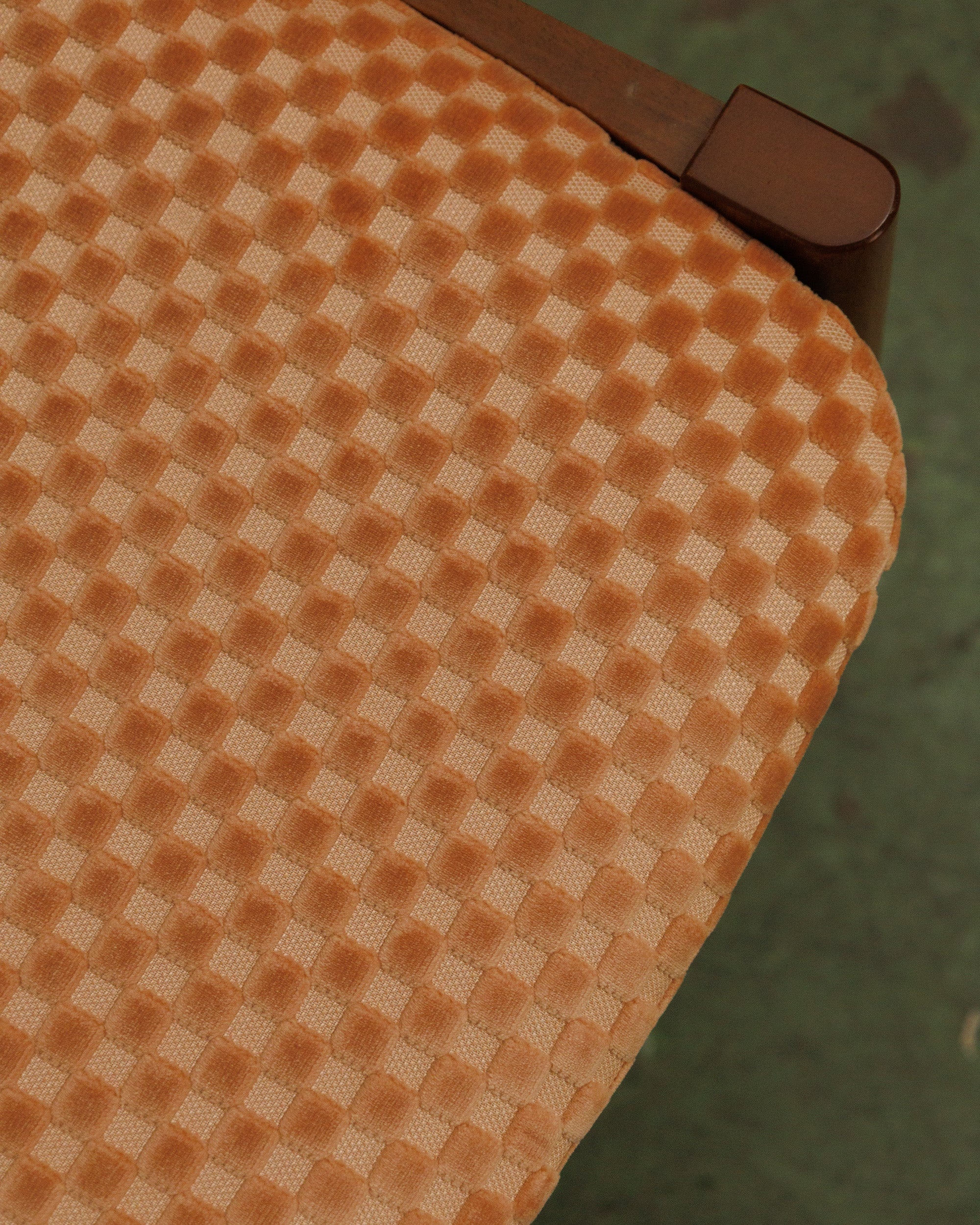T-Rex in Checker Blush - Image 5