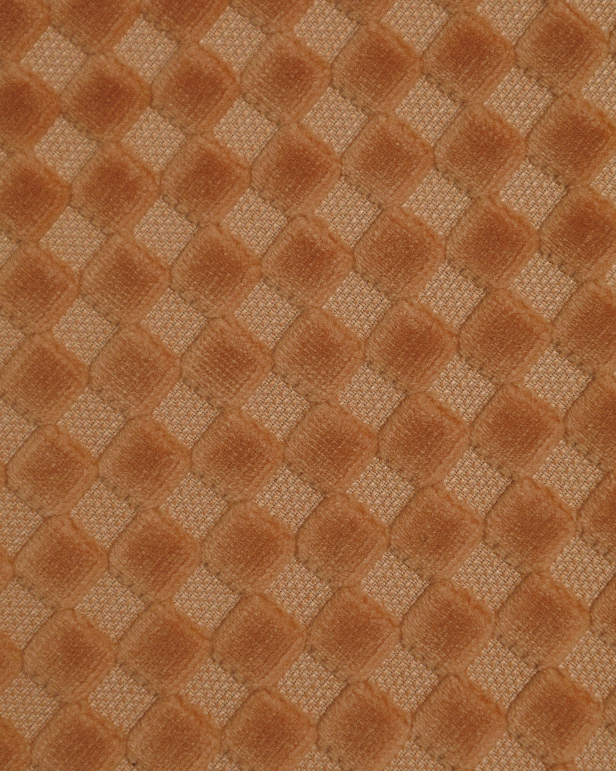 T-Rex in Checker Blush - Image 6